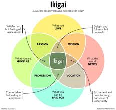 Whats Your Ikigai The Mindful Company