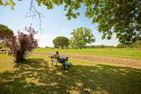 Book atipyc hotel restaurant, france on tripadvisor: Clean Safe Hotels In Marssac Sur Tarn 2021 Preferred Hotels Best Reviews