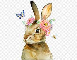 The Tale Of Peter Rabbit T Shirt Watercolor Painting Illustration Rabbit Png Is About Is About Wildlife Rabbit Painting Rabbit Illustration Bunny Watercolor