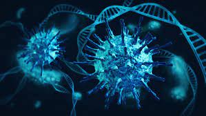 Covid 19 Tracker Pfizer Moderna Vaccines Sharply Cut Hospitalizations In Older Adults Cdc Data Show Fiercepharma