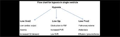 flowchart for hypoxia in the single ventricle o2 oxygen