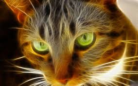 Multiple sizes available for all screen sizes. Cool Animal Wallpapers Manga Expert