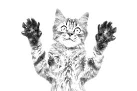 We did not find results for: Turn A Photo Into A Photoshop Pencil Sketch