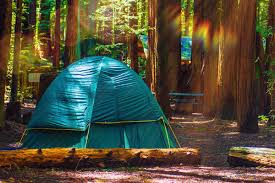 Maybe you would like to learn more about one of these? Campsites Amicalola Falls State Park Lodge Dawsonville Ga