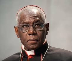 se cumple lá profecia .... Estas dos personas serían los candidatos para  ser el nuevo sucesor del Papa Francisco Peter Tukson y Robert Sarah  #nostradamus #nostradamus2025 nostra