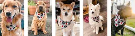 How long an unfinished edge will hold up depends on the fabric and wear. How To Sew A Dog Bandana Dutch Label Shop