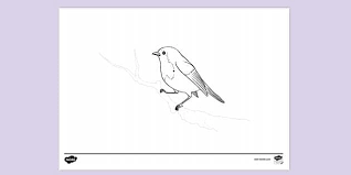 We did not find results for: Red Robin Ks1 Colouring Sheets Twinkl Resources