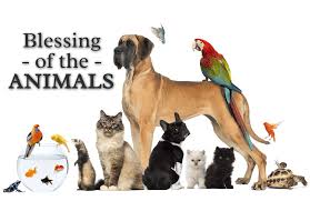 For some, writing your own poem or prayer may be an option. Blessing Of The Animals Sacred Heart Catholic Church Of Pinellas Park