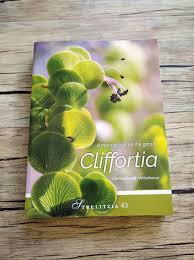 Image result for Cliffortia nitidula