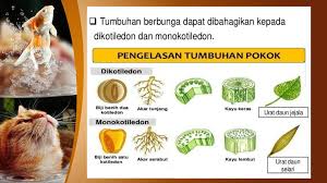 Kebijakan fiskal dan moneter harus jelas dan konsisten dari waktu ke waktu, sehingga semua agen ekonomi dapat memperkirakan tindakan pemerintah. Bab 1 Biodiversiti Tingkatan Ppt Download