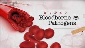 The free cpr classes cover a wide range of topics like basic cpr techniques, basic life support (bls), first aid skills, and bloodborne pathogens. Bloodborne Pathogens Qquestion And Answer By Nhcps
