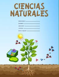 Caratula de ciencias naturales los mejores disenos del 2021. 20 Caratulas De Ciencias Naturales Gratis