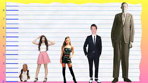 Camila cabello height 5 feet 2 inches (157 cm/ 1.5 m) and weight 54 kg (119 lbs). How Tall Is Camila Cabello Height Comparison Video Dailymotion