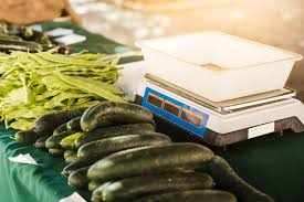 Sketsa merupakan gambar yang dibuat oleh seseorang yang pada umumnya belum gambar sketsa pemandangan alam sederhana. Macam Macam Timbangan Dan Kegunaannya Halaman All Kompas Com