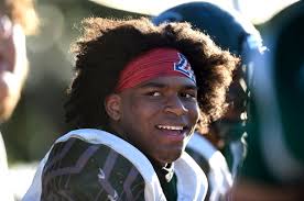 Kayden Collins, Dane Reed lead Canoga Park football past Arleta in City  quarterfinal