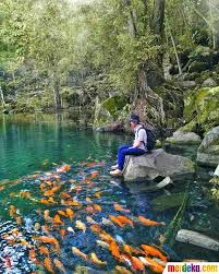 Lampu satu resto yang berlokasi di jalan otto iskandar dinatta, kabupaten subang, jadi salah satu tempat paling recommended bagi masyarakat yang ingin menikmati sajian menu tersebut. Foto Telaga Biru Cicerem Danau Jernih Yang Bikin Adem Di Kuningan Merdeka Com