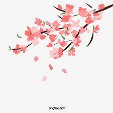 Hand Painted Spring Pink Cherry Branches Sakura Petals Cherry Blossom Clipart Spring Plant Png Transparent Clipart Image And Psd File For Free Download Flower Png Images Flower Backgrounds Petals