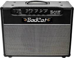 Bad cat paw at namm 2020 | reverb. Bad Cat Guitar Amplifiers Portland Music Company