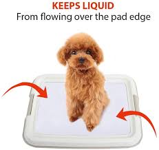 When potty training a puppy it is important to confine the pup to avoid accidents. Pawise Pet Training Pad Holder Puppy Training Pads Portable Potty Trainer Indoor Dog Potty Dog Training Holder 19 2x14 Dogs Pet Supplies Ekbotefurniture Com