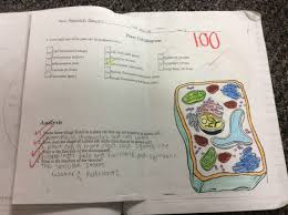 Check spelling or type a new query. Unit 3 Cell Structure Function Bulb