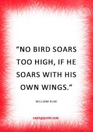 Flying Quotes War Quotes Fly Quotes Quotes