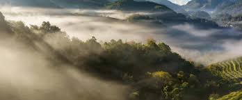 Digital mukmin berharap ianya dapat membantu anda untuk. Hari Hol Pahang 2022 2023 Dan 2024 Publicholidays Com My