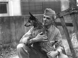 American Soldier With Cattle Dog Queensland 1941 1945 Austrailian Cattle Dog Cattle Dog Dog Photos