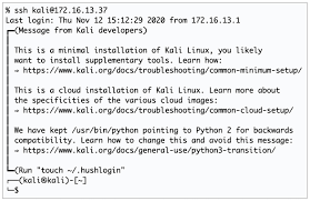 Thank you for choosing techspot as your download destination. Kali Linux 2020 4 Released New Default Shell Fresh Tools And More Help Net Security