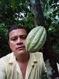 Profile for Pozolaxxo