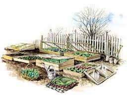 A cold frame extends the growing season by keeping the local environment within the cold frame more the light also heats up air and soil in the cold frame. Garden With Cold Frames To Grow More Food Mother Earth News