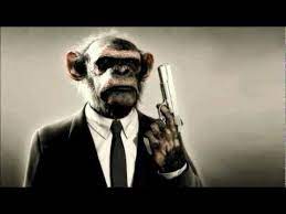 Chef Special Biggest Monkey Hd Special Big Monkey