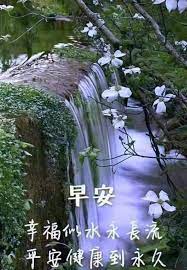 pin by hanson phuah on 早安 风景 good morning greetings morning greeting plants