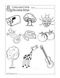 Name recognition is always in season! Living And Non Living Things Coloring Pages Learny Kids