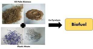 Kempen penanaman 100 juta pokok. Processes Free Full Text Thermal Analysis Of Nigerian Oil Palm Biomass With Sachet Water Plastic Wastes For Sustainable Production Of Biofuel Html