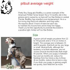 Pitbull Dog Weight Chart Www Bedowntowndaytona Com