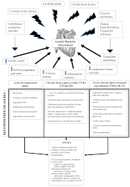 Jcm Free Full Text Heart Failure Diagnosis Management