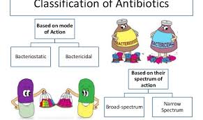 Classification Of Antibiotics Online Biology Notes