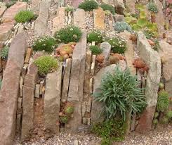 Beautiful And Simple Crevice Garden Rockery Garden Rock Garden Plants