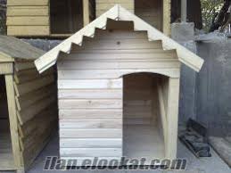 En Ucuz Kopek Kulubesi 65 Tl