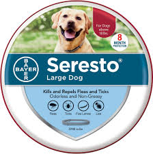 Orijinal Otantik Bayer Seresto 8 Ay Pire Ve Kene Onleme Yaka Kopekler Icin Kopek Aksesuarlari Aliexpress