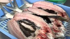 Makanan khas lampung ini dijamin bikin lidah berasa bergoyang karena hidangan ini dilengkapi dengan cabai yang pedas dan ditaburi bumbu yang gurih. Proses Cabut Duri Ikan Bandeng Di Pangkep Youtube