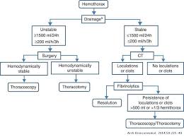Early thoracoscopy is an option for patients with loculated pppe. Recommendations Of Diagnosis And Treatment Of Pleural Effusion Update Archivos De Bronconeumologia