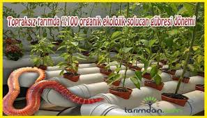 Bio Altin 100 Organik Ekolojik Solucan Gubresi Tarim Gubre