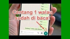 Gimana cara setting whatsapp (wa) agar kita tidak terlihat online? Cara Mudah Sembunyi Offline Di Whatsapp Pesan Tetap Centang 1 Meski Sudah Dibaca Sriwijaya Post