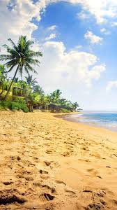 Browse and download the best free stock beach images. Tropical Beach Hd Wallpaper For Android Apk Download