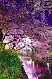 Hispacbd Comprar Cbd On Twitter Beautiful Landscapes Beautiful Nature Nature