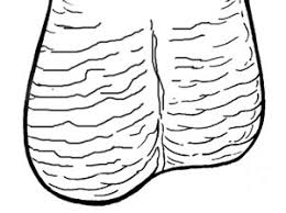 Testicular cancer is most common between ages 15 and 35, and it's young men in this age group who get a bad rap for things like skipping doctor if you think you've found something, talk to your guy lovingly and supportively—then have him bring it up with his primary care doctor first, dr. How To Physically Check For Testicular Cancer Dummies