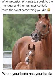 Memes And Boss When A Customer Wants To Speak To The Manager And The Manager Just Tells Them The Exact Funny Horse Memes Funny Animal Memes Funny Horses