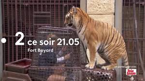 Les programmes télé de la soirée des chaines tv de la tnt. Fort Boyard Officiel Videos Facebook