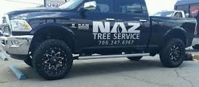 Tree Services in Jefferson, GA | Naz Tree Service (706) 247-6367